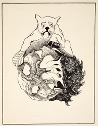 Die ganze Geschichte des Jaguars und des Igels und der Schildkröte und des Gürteltiers, Illustration aus 